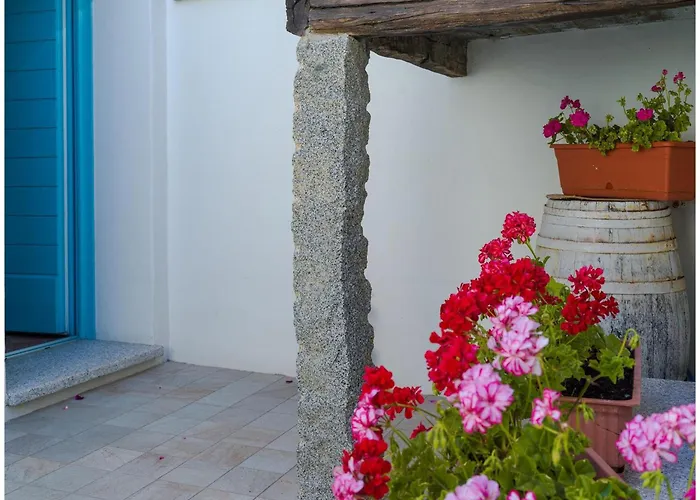 Bed and breakfast Roseddu Bitti