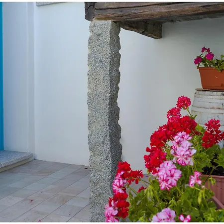 Bed & Breakfast Roseddu Bitti